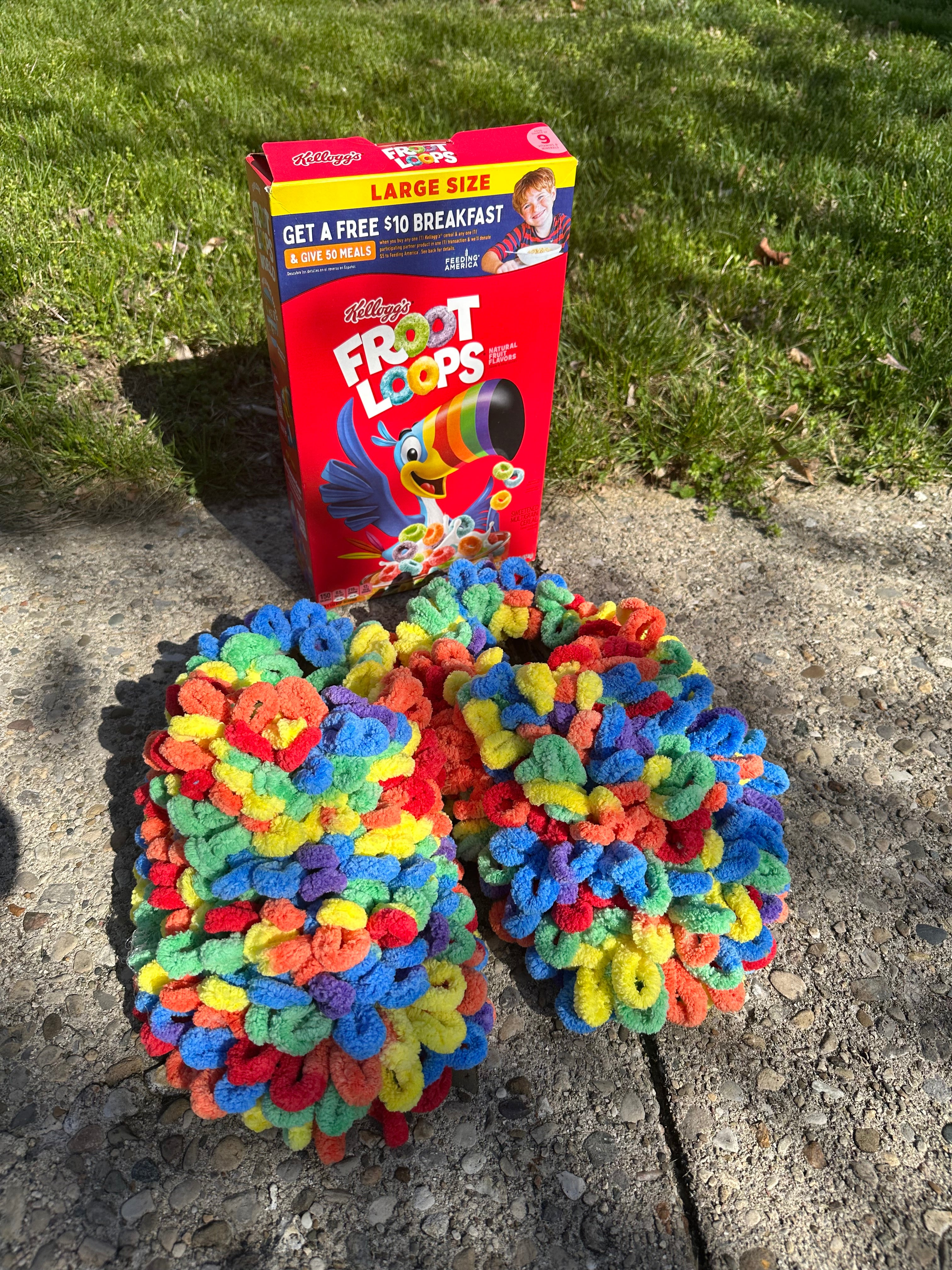 Fruit loop slippers